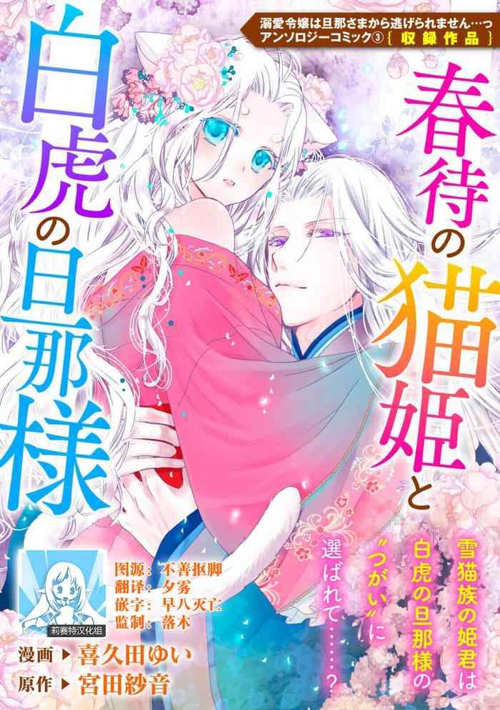 haru machi no neko hime to byakko no dan na sama cover